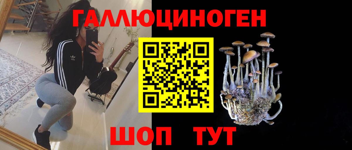 Галлюциногенные грибы Psilocybine cubensis  Вход с VPN  Псилоцибиновые грибы ЛСД  Норильск 